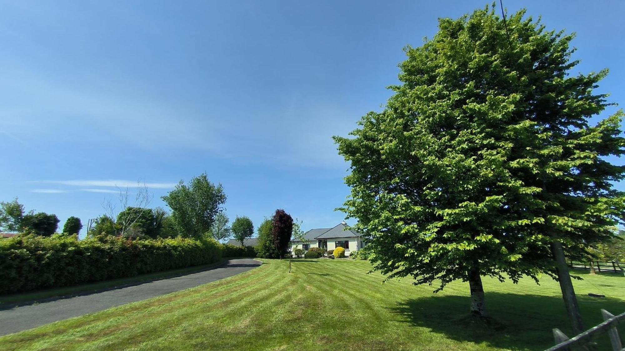 Swinford Country House מראה חיצוני תמונה