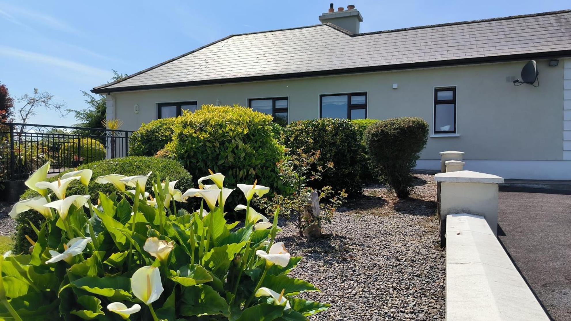 Swinford Country House מראה חיצוני תמונה